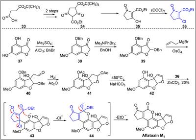 Advances in the Total Synthesis of Aflatoxins